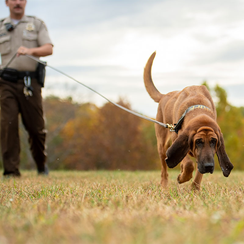 deputy brad o'donnell with canine murphy